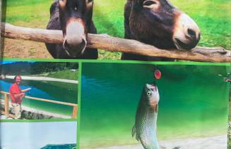 Le petit Nid Rouge - Foto 57