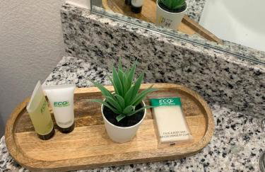 Deluxe Duplex - Foto 38