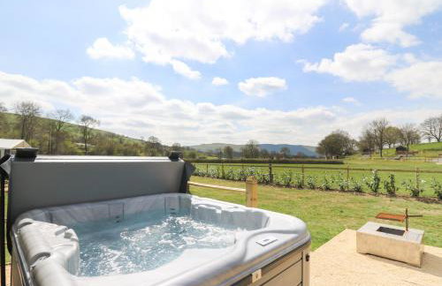 The Kingfisher - Foto 19