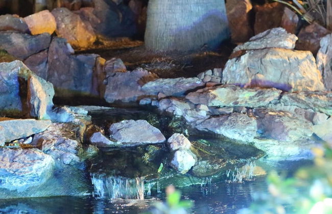 The Cradle Rest - Foto 23