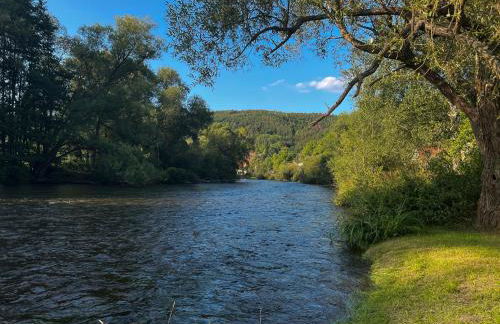 Schlossberg Apartments & Garten in der Natur & unweit vom "Thüringer Meer" - Foto 31