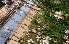 Charmant Studio sur cour à LYON 9e Mont d'or - Foto 27