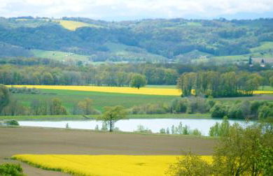 Maison au charme champêtre - Monlaur-Bernet - Photo 66