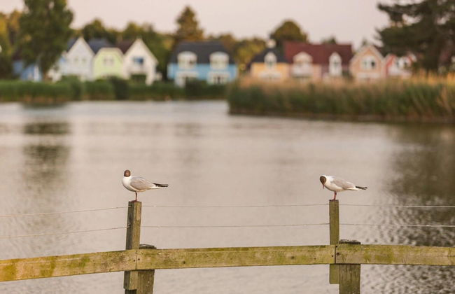 Holiday Village Belle Dune, Fort-mahon-plage - Photo 26