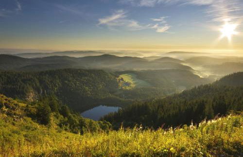 Black Forest Luxury Apartment Bärenhöhle mit Sauna - Foto 36