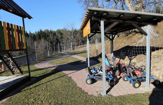 Apartment in Bleiburg Near Petzen Ski Area - Foto 23