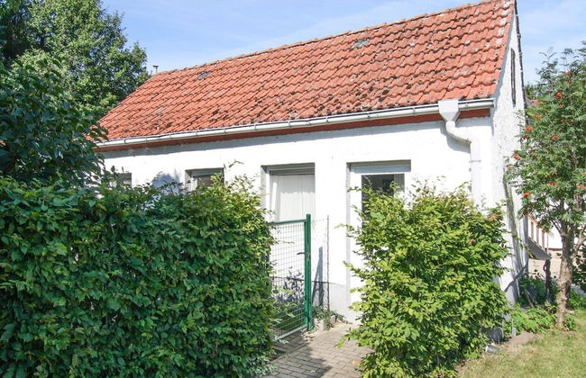 Ferienhaus im Mueritz-nationalpark - Photo 9