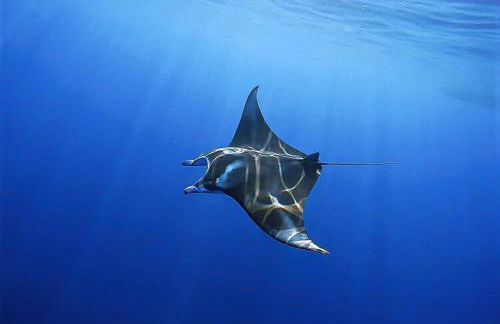 "Makani Moana" at Keauhou Resort #104, Entire townhome close to Kona - Foto 53