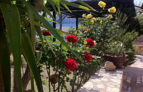 Mini Villas Green - Foto 50