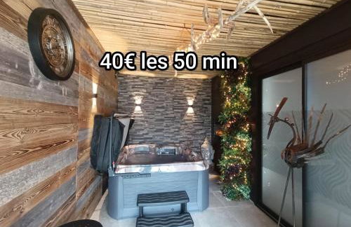 VILLAS-DU-LAC Appartements de vacances et Espace Spa privé - Foto 3