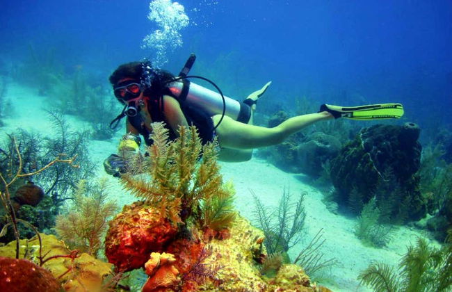 Bautismo de buceo en Cartagena - Foto 9