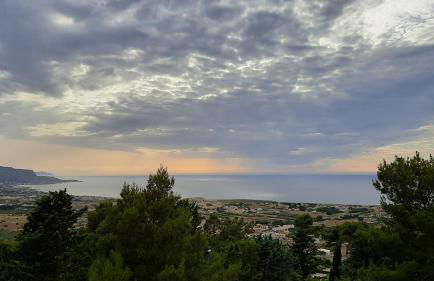 I FIORI DI LEA - Foto 5