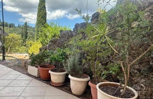 villa olga-corfu - Foto 34