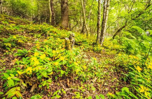 Holiday Home Dancot by Interhome - Photo 31