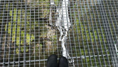 Saunaparadies Black Forest - Foto 3