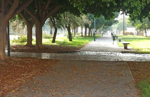 Elite Beach - Photo 11