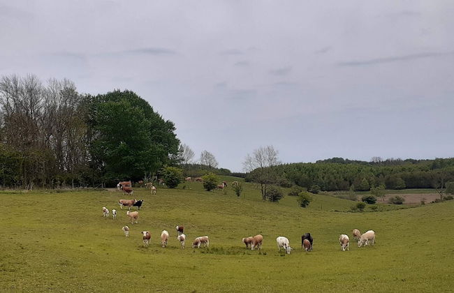 6 Person Holiday Home in Blentarp-by Traum - Foto 14