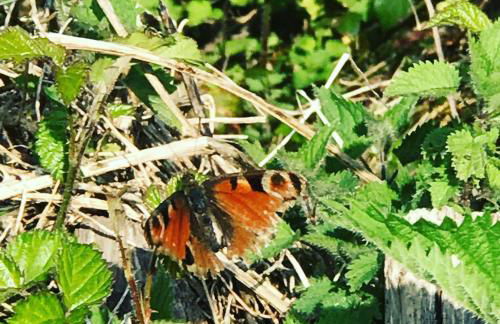 Posada El Pareón - Photo 65