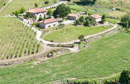 Quinta de Carvalhal - Casa da Vinha - Foto 1