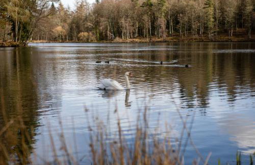 The Clock Tower - Foto 9