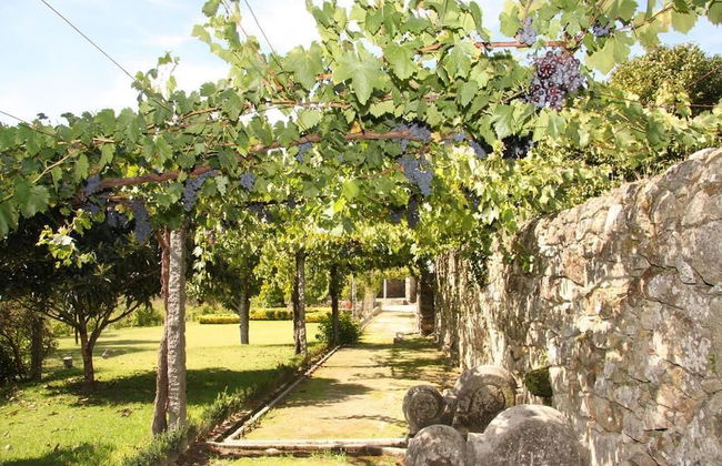 Solar das Bouças - Foto 26