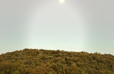 Ghiaccio Bosco - Foto 7