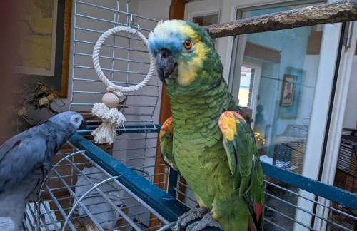 Ferienhaus Eichhof, Garlstorf - Lüneburger Heide - Foto 66