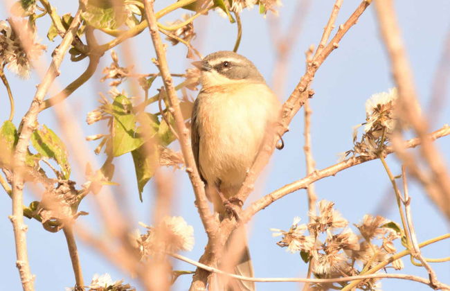 Arroyos y Esteros Private Day Trip - Foto 3