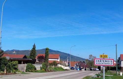 Gîte Le Marronnier, parking et terrasse au calme, entre Colmar-Riquewihr et Obernai, vue sur espaces verts et coteaux d Alsace, route du vin-châteaux - Foto 19