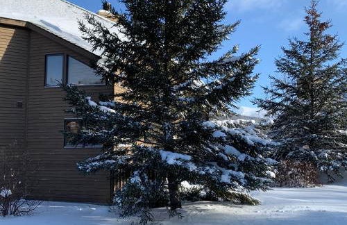 C6 Beautiful views from this Crawford Ridge Townhome a short walk from the slopes - Foto 20