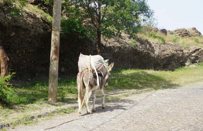 Pinhao, Lombo Branco & Sinagoga Hike - Photo 5