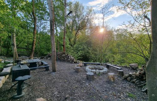 Apartamenty Salamandra - Foto 3