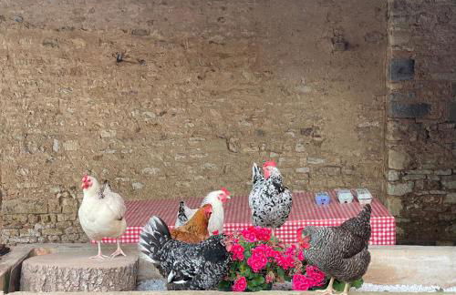 La demeure d'Ervée - Foto 36