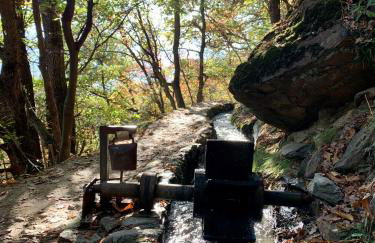 Klostergut - Foto 11