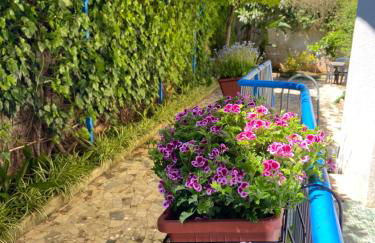 Villa Savoia Mondello - Photo 1