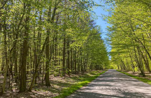 Wynki no. 69 - Photo 28