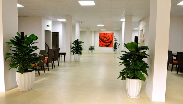 Mostrador de check-in y check-out