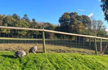 The Old Bull Pen - Foto 12