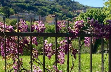 I Gelsi di Colombata Locazione turistica breve in campagna - Foto 79