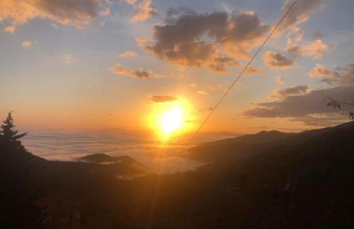 Nature Paradise Apartment - Photo 28