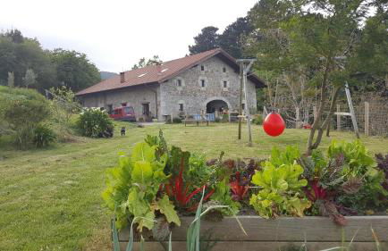 Apartamentos Iparagirre - Foto 1