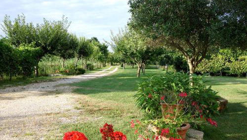 Il mulino di Augusto e Marianna - Foto 4, Garden