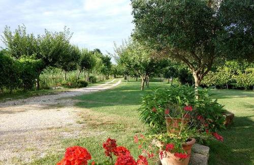 Il mulino di Augusto e Marianna - Foto 4