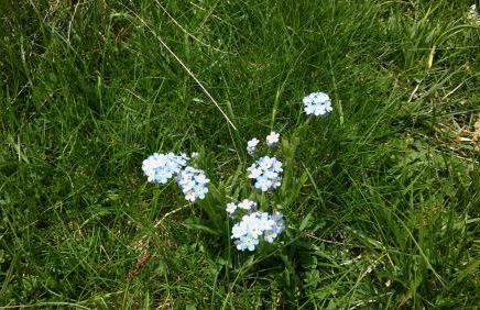 Cal Rosetó - Foto 12