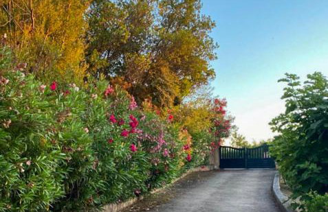 Domaine Mare e Monti - T1 Le Maquis - Foto 1