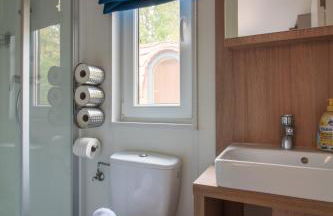 Iguana - Das Tiny Haus am Reptilienzoo Reptilium - Foto 28