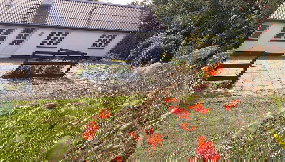 8 Person Holiday Home in Lokken-by Traum - Foto 1, Imagen principal