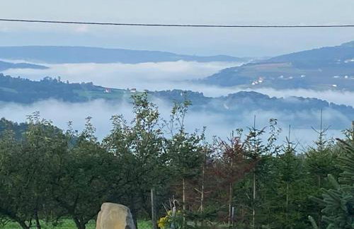 Tabacówka - Foto 28