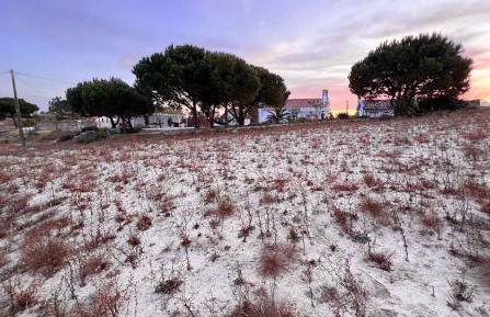 Casa Paloma - Foto 26