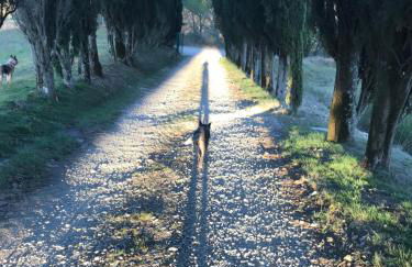 Villa Poggio dei Cipressi - Foto 34